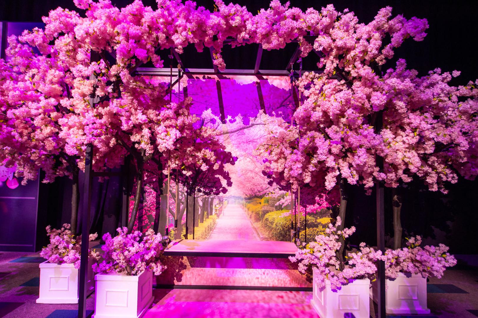 Japanes cherry blossom photobooth